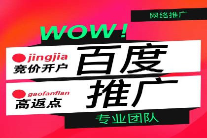 竞价排名案例分析：电商行业